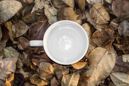 Blank white coffee cup on dry leaves.の写真素材