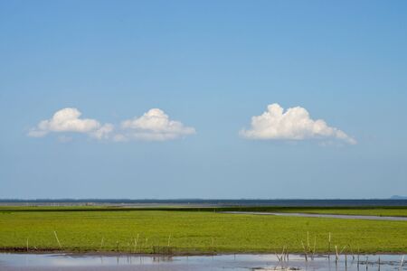 blue sky with white couldの写真素材