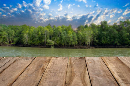 wood wall backgroundの写真素材