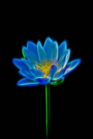 Glow image of Blue waterlilyの写真素材