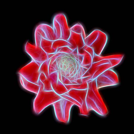 Glow image of Tropical Red flower of etlingera elatiorの写真素材