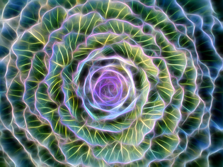 Glow image of cabbageの写真素材