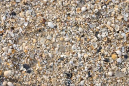 Blur image of sea shellsの写真素材