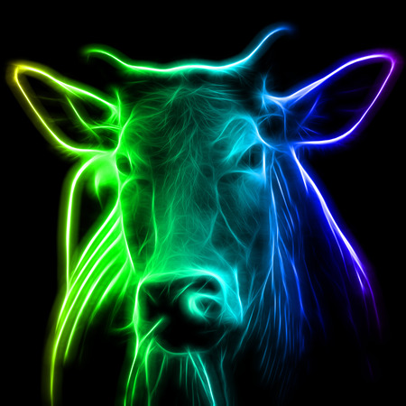 Glow image of Cows are looking.の写真素材
