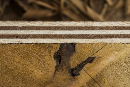 Industrial Plywood background.の写真素材