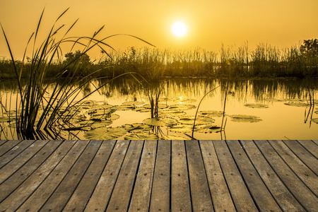 Wooden walkway with a background picture of the lake at sunset.の写真素材
