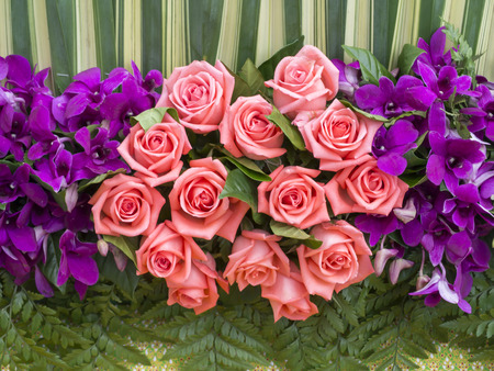 close up of rose flowerの写真素材