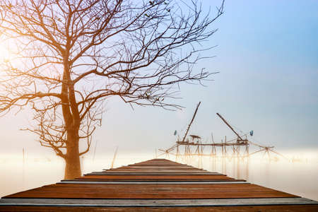 Wooden walkway over the lake in the morning.の写真素材