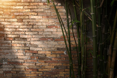 Bamboo and wall brick with light in the old town.の写真素材