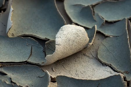 Cracked dried mud in the summer.の写真素材