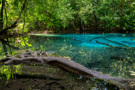 Amazing nature, Blue pond in the forest. Krabi, Thailand.の写真素材