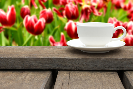 White coffee cup on wood floor with blur background.の写真素材