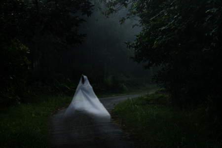 Low key image of ghost on the road in the forest.の写真素材