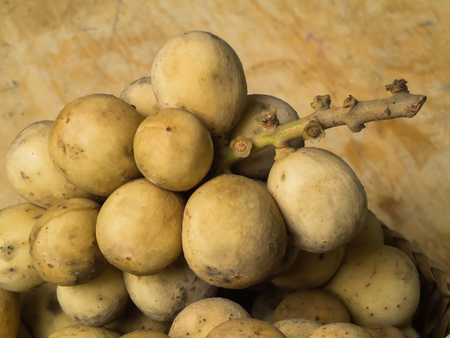 Duku or Long Gong fruit. (Lansium domesticum.), Thai fruit.の写真素材