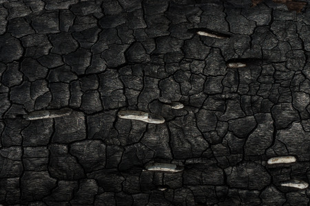Details on the surface of charcoal.の写真素材