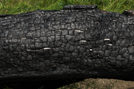 Details on the surface of charcoal.の写真素材