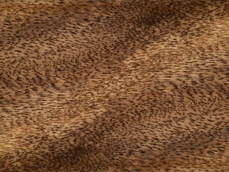 Brown wood background.