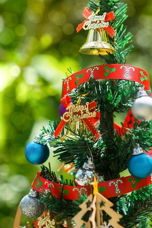 Macro photo of the Christmas tree.の写真素材