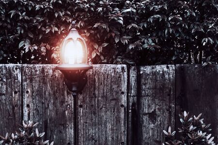 Old wood with lamp and tree background in the winter color tone.の写真素材