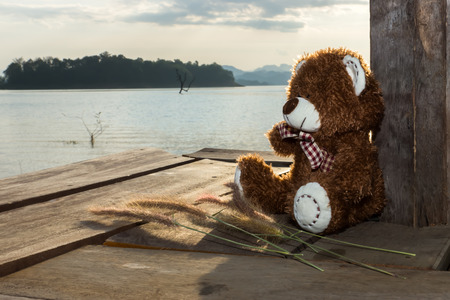 Bear on wood with at the lake background.の写真素材