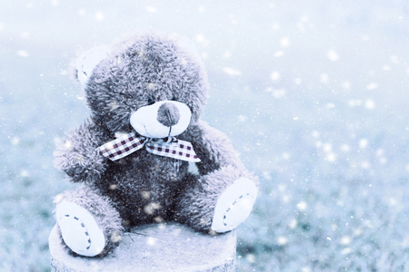 Bear on Stump in the winter with snow fall.の写真素材