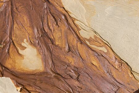 The dirty stains on the beachの写真素材