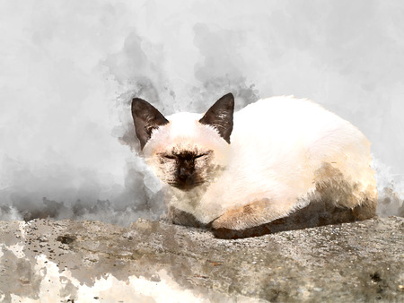 Watercolor image of baby cat are sleeping on the ground.の写真素材