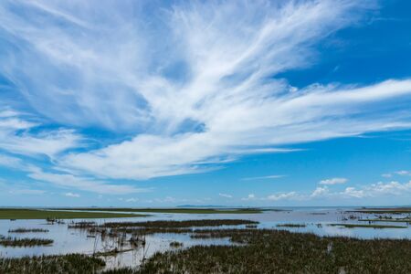 White cloud on the sky at Wildlife sanctuaries of southern Thailand. (Wetland)の写真素材