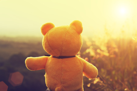 Back view of yellow bear in the sunset with vintage color.の写真素材