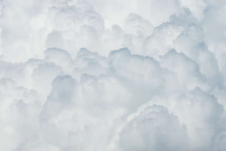 White cloud background in the sky.