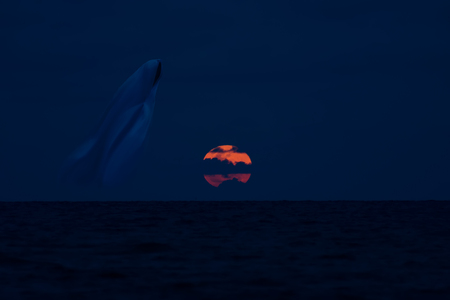 Low key image of Red moon in the blue night with ghost on the sea.の写真素材