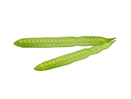 White Popinac seeds on white background with clipping path. (Leucaena leucocepphala)