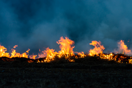 The movement of the flames in the dark