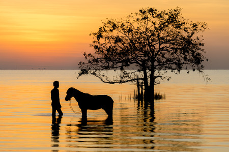 Abstract silhouette of equestrian in the morning at the lake.の写真素材