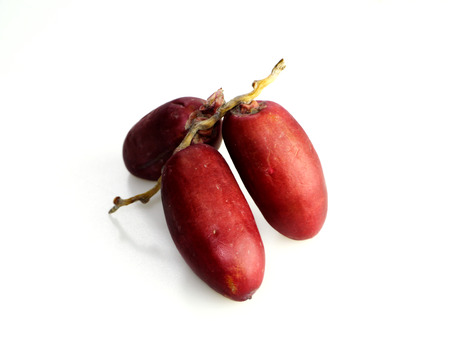 Fresh red date palm. (Phoenix dactylifera)