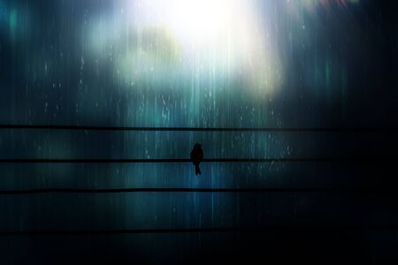 Silhouettes of birds perched on power lines with abstract floating dust and light.の写真素材