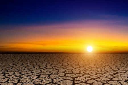 Arid soil with the sunset sky.の写真素材