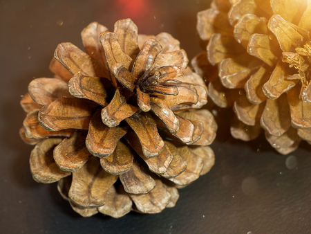 Pine cones with floating light.