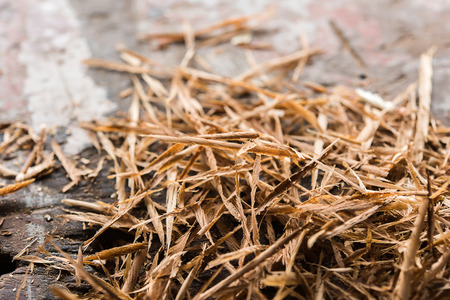 Close up of Sawdust on old wood background, Timber industry.の写真素材