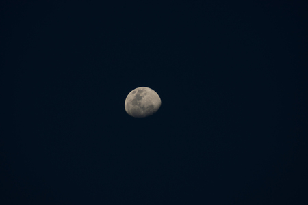 The moon in the dark night.