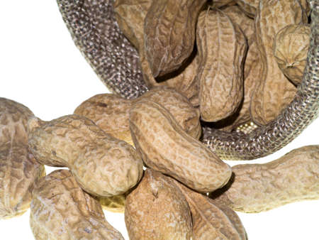 Close up dry peanut on white background. (Arachis hypogaea)