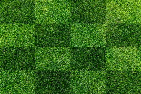 Close up Fresh grass of the stadiumの写真素材