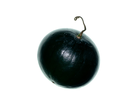 Close up of Black Watermelon fruit on white background.の写真素材