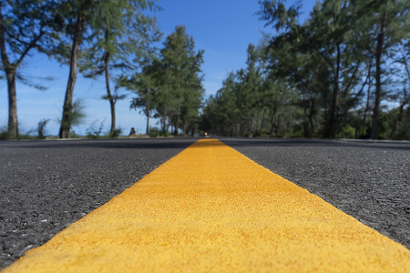 Yellow line on road with blur of pine trees and blue sky.の写真素材