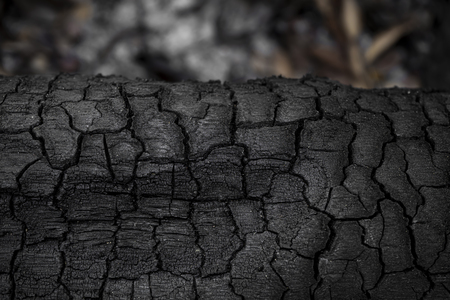 Details on the surface of charcoal.の写真素材