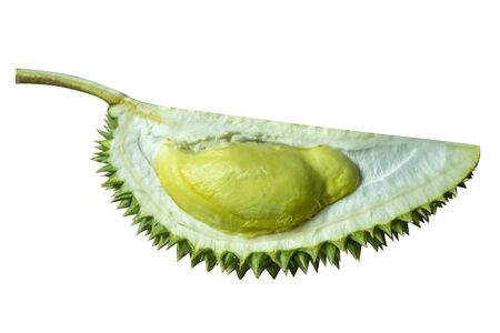 Close up the Durian on white backgroundの写真素材