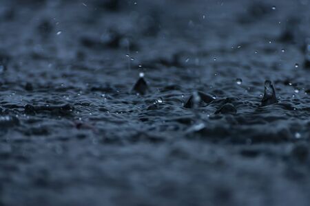 Rain fall on the ground in rains season with space on bottom this image.の写真素材