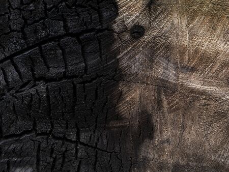 The Surface of wood burnt background. This image is not in focus.の写真素材