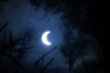 Soft light eclipse of the sun on the sky with cloud and silhouette leaves.