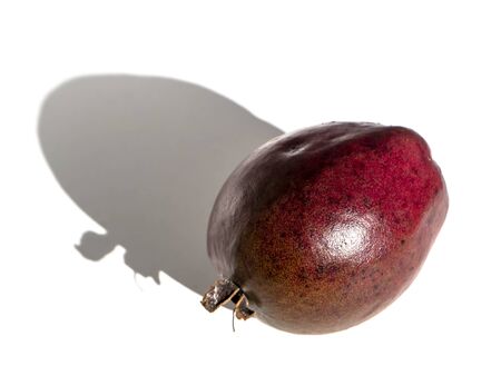 Close up Red guava fruit with soft shadow on white background. (Scientific name Psidium guajava)の写真素材
